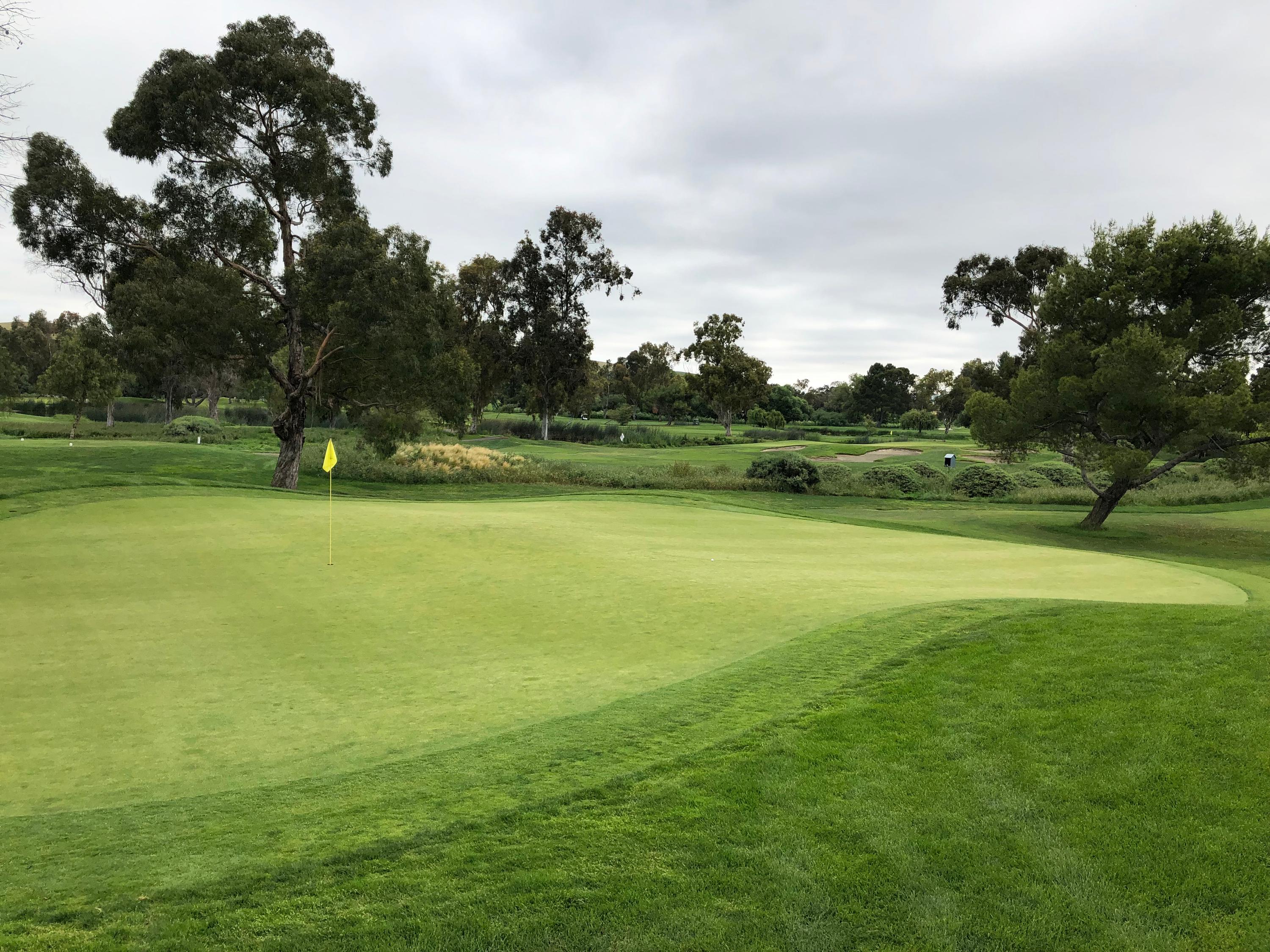 Las Positas Golf Course (Par 3) Details and Information in Northern