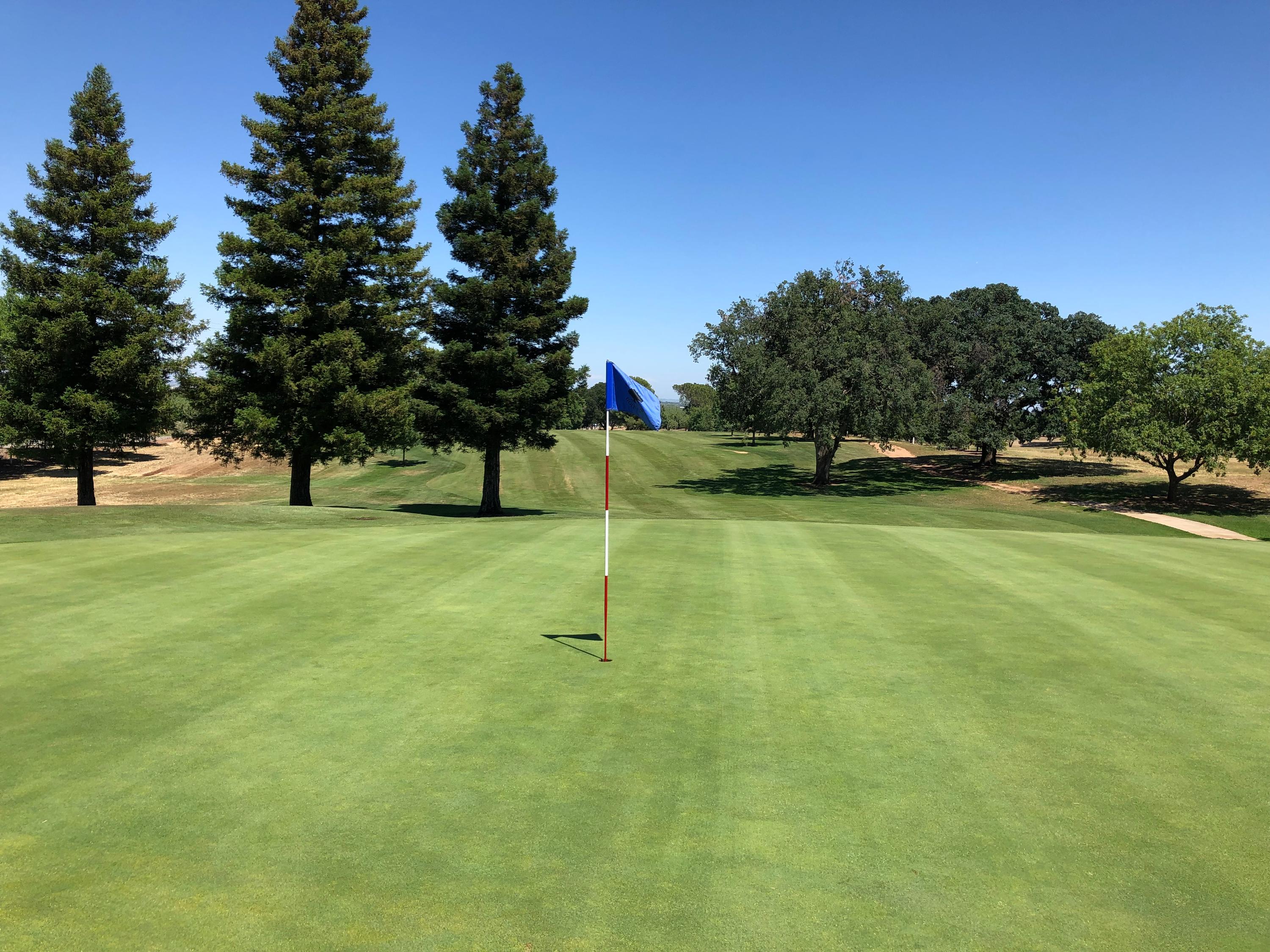 Arbuckle Golf Club Details and Information in Northern California