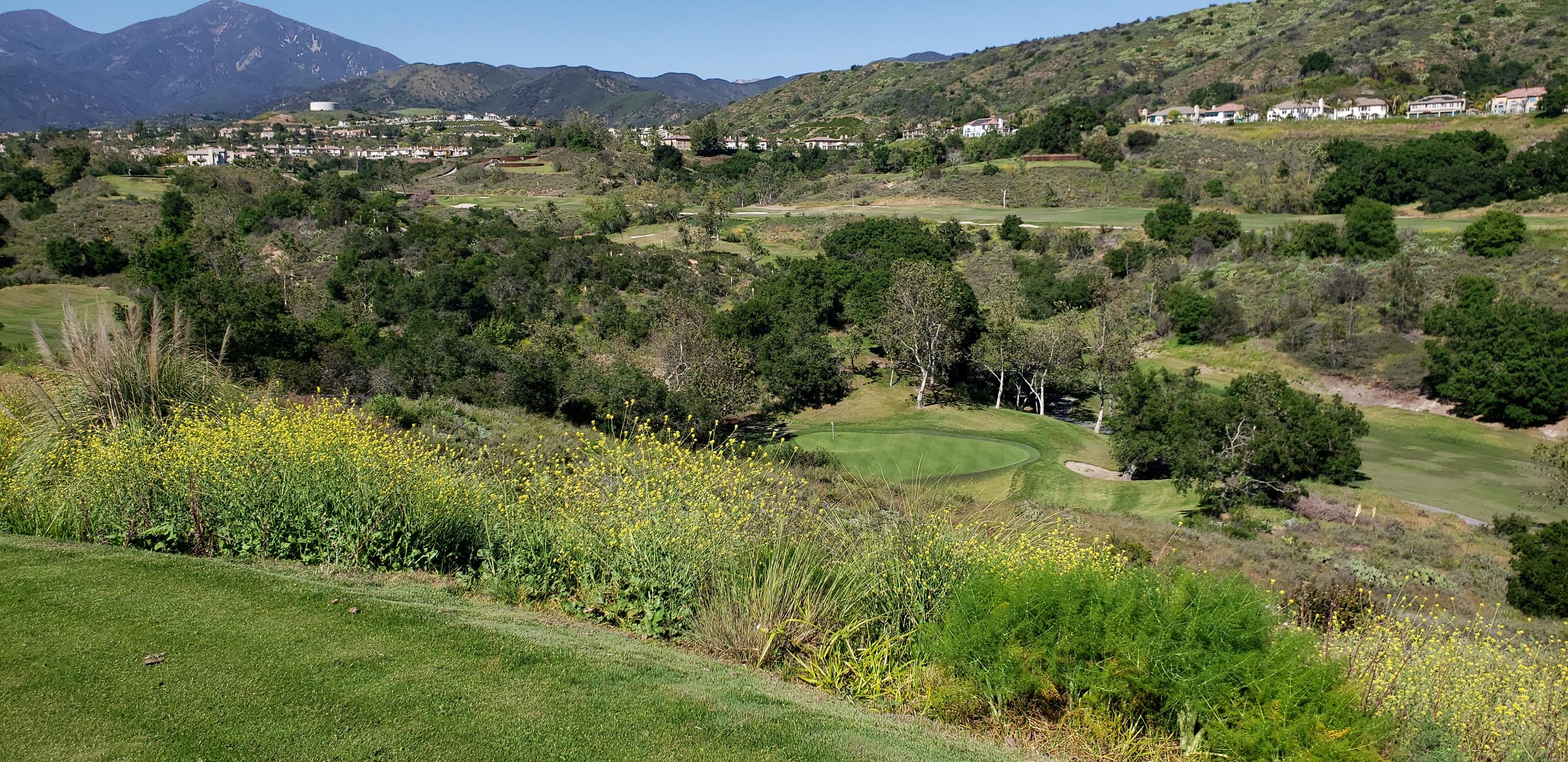 Dove Canyon Golf Club Details and Information in Southern California
