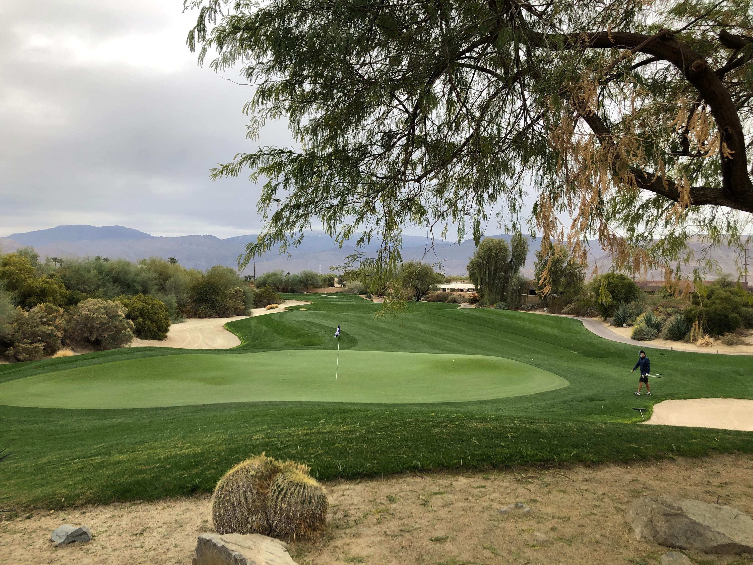 Desert Willow GC (Mountain View) Details and Information in Southern
