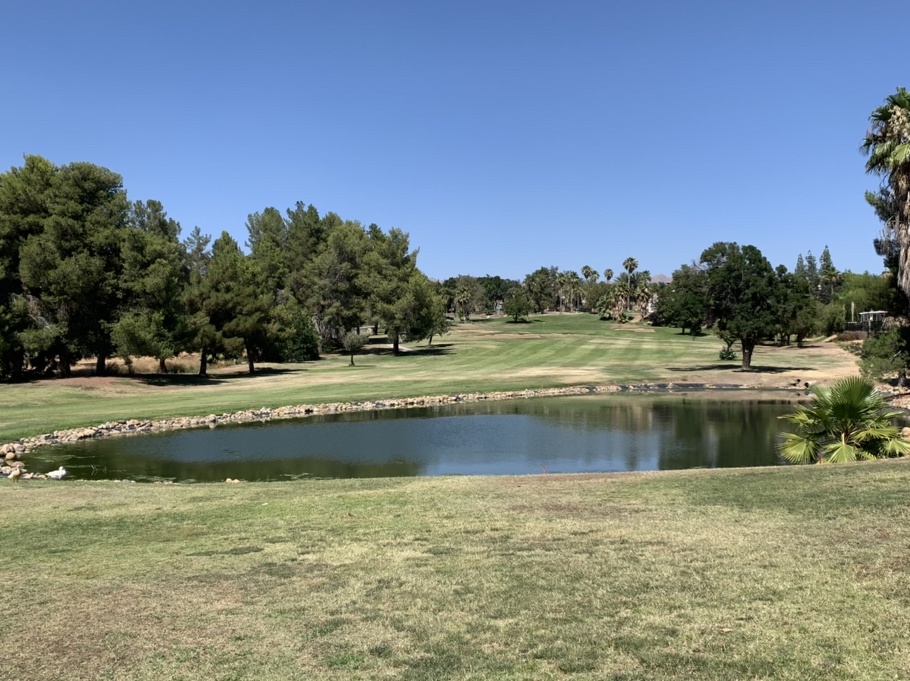 Rio Bravo Country Club Details and Information in Central California