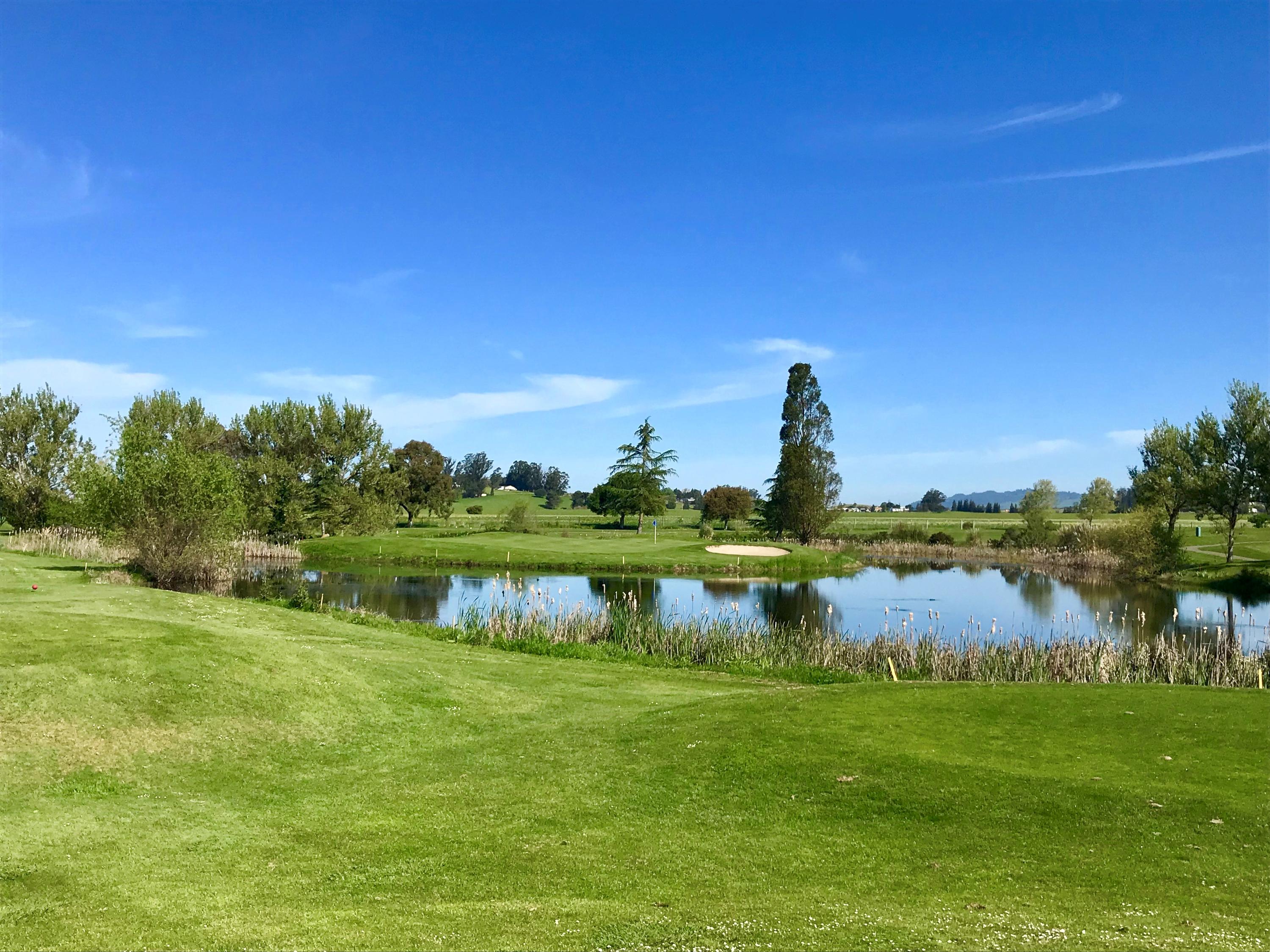 Rooster Run Golf Club Details and Information in Northern California