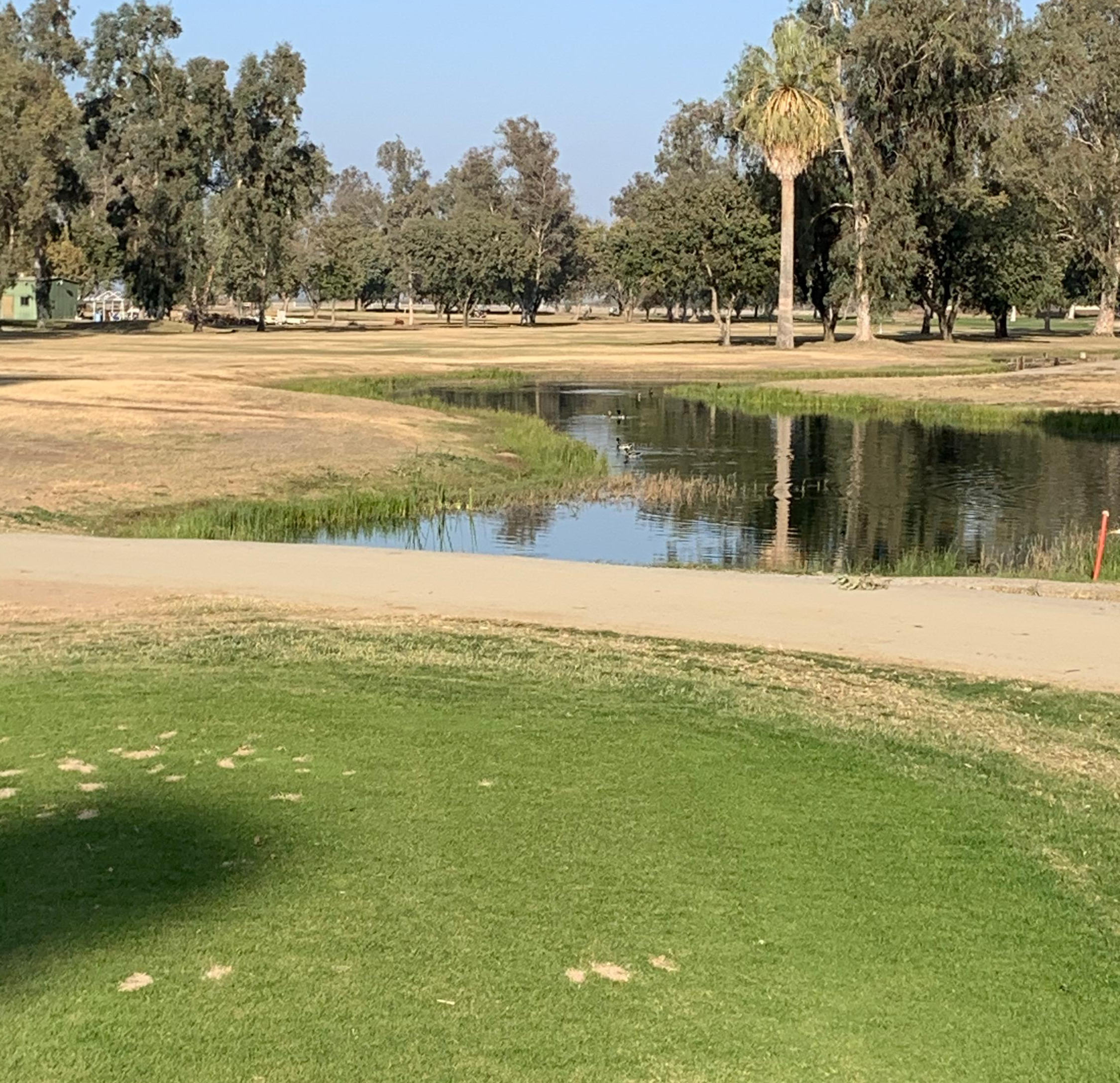 Tulare Golf Course Details and Information in Central California