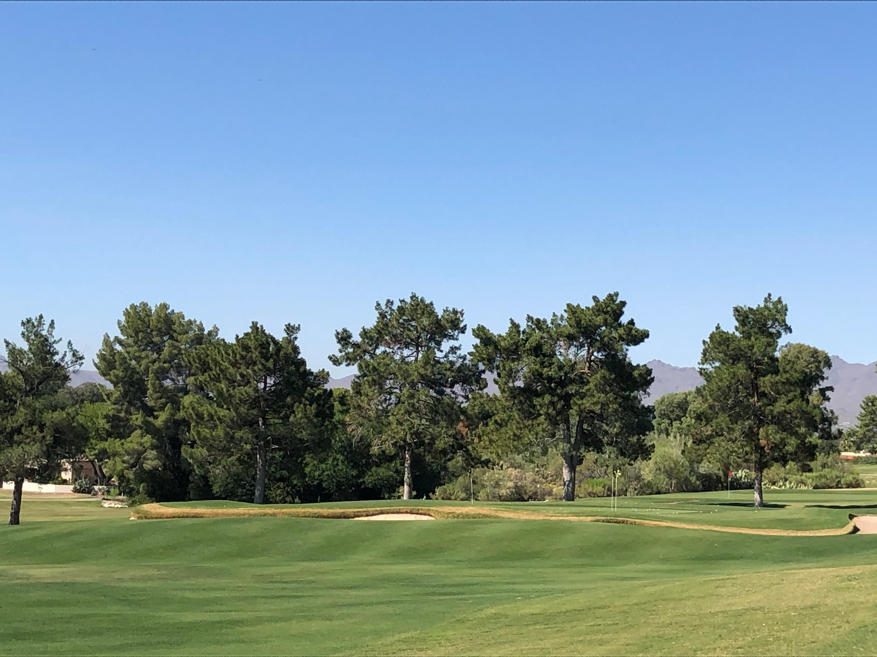 Omni Tucson National Golf Resort (Catalina) Details and Information in