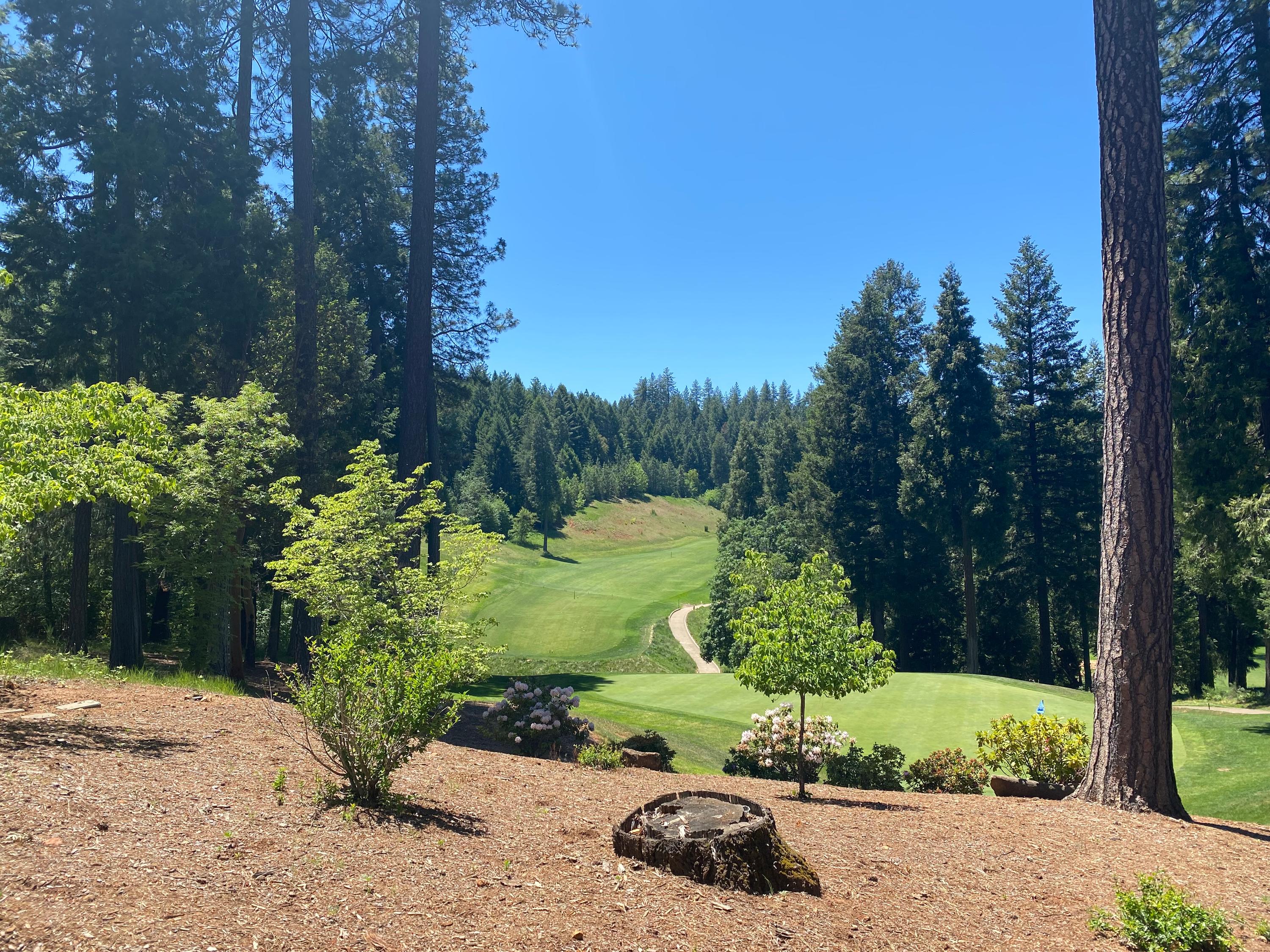 Apple Mountain Golf Resort Details And Information In Northern California Sacramento Area Greenskeeper Org Free Online Golf Community