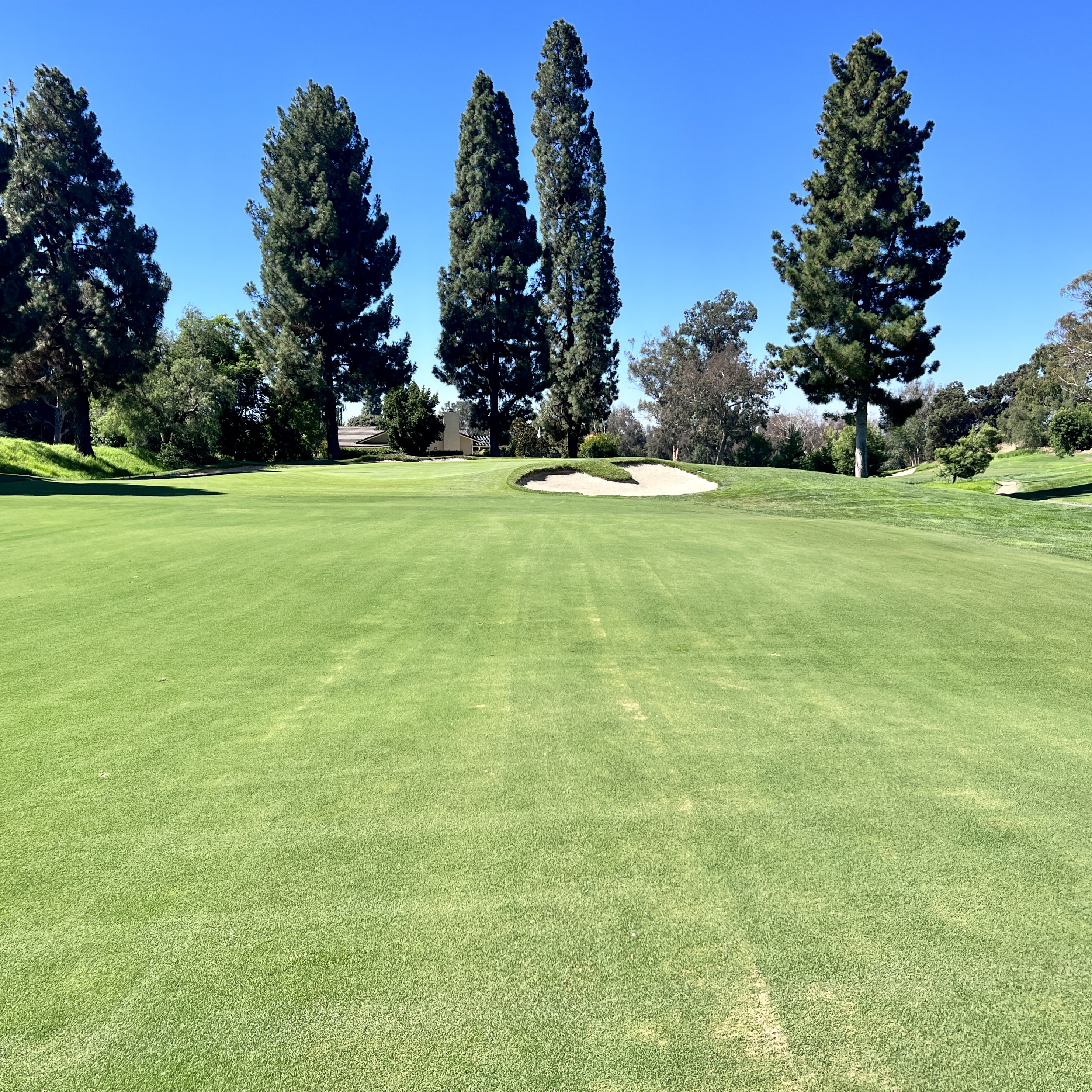 Blackhawk Country Club: The Falls, Courses