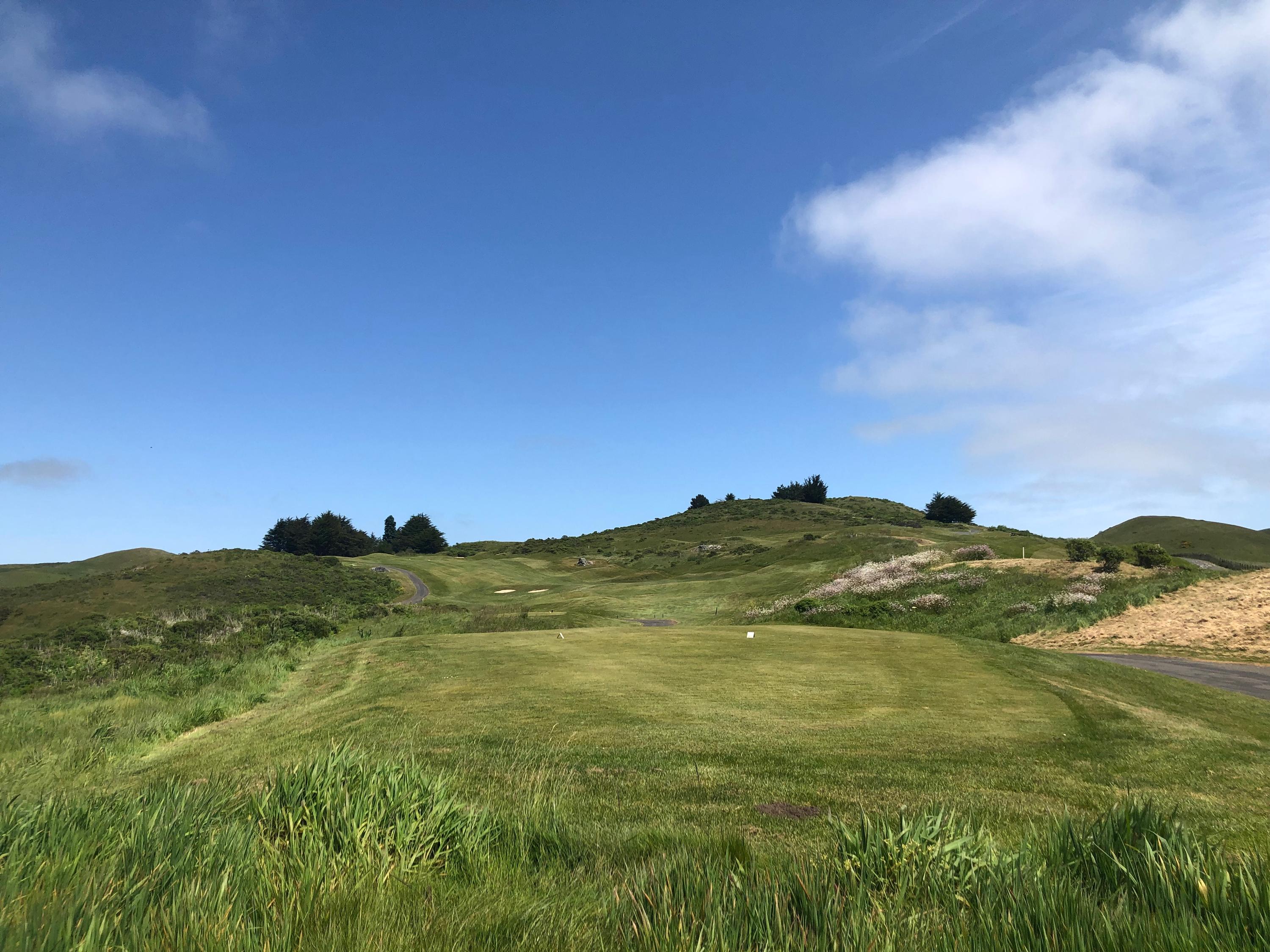 Bodega Harbour Golf Links Details and Information in Northern
